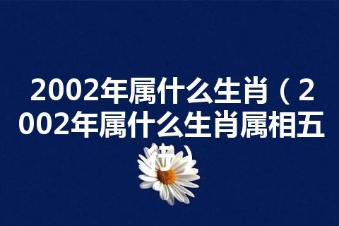 2002年属什么生肖(2002年属什么生肖属相五行)