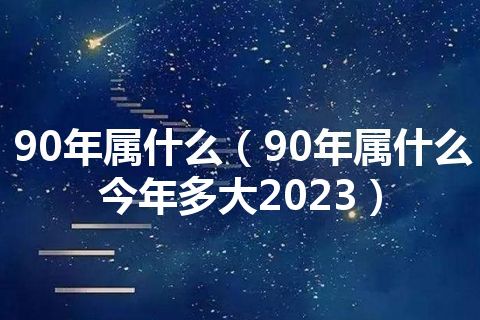 90年属什么生肖?多少岁?