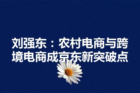 刘强东：农村电商与跨境电商成京东新突破点